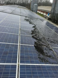 Solarreinigung, Photovoltaik Reinigung in ihrer nähe, auch bundesweit Albersdorf, Albsfelde Alkersum Almdorf Alt Bennebek Alt Duvenstedt Alt Mölln Altenhof bei Eckernförde Altenholz Altenkrempe Altenmoor Alveslohe Ammersbek Appen, Kreis Pinneberg Arkebek Arlewatt Armstedt Arnis Arpsdorf Ascheberg (Holstein) Ascheffel Aukrug Aumühle bei Hamburg Ausacker Auufer Aventoft Averlak Aasbüttel Achterwehr Achtrup Aebtissinwisch Agethorst Ahlefeld-Bistensee Ahneby Ahrensbök Ahrensburg Ahrenshöft Ahrenviöl Ahrenviölfeld Bad Bramstedt Bad Oldesloe Bad Schwartau Bad Segeberg Badendorf, Holstein Bahrenfleth Bahrenhof, Holstein Bäk bei Ratzeburg Bälau Bargenstedt Bargfeld-Stegen Bargstall Bargstedt, Holstein Bargteheide Bargum Bark bei Bad Segeberg Barkelsby Barkenholm, Holstein Barlt Barmissen Barmstedt Barnitz, Trave Barsbek Barsbüttel Basedow, Kreis Herzogtum Lauenburg Basthorst, Kreis Herzogtum Lauenburg Bebensee Behlendorf Behrendorf bei Husum Behrensdorf (Ostsee) Beidenfleth Bekdorf bei Wilster Bekmünde Belau bei Wankendorf Beldorf Bendfeld Bendorf, Holstein Bergenhusen Bergewöhrden Beringstedt Berkenthin Beschendorf Besdorf Besenthal Bevern, Holstein Bilsen Bimöhlen Bissee Blekendorf Bliestorf Blomesche Wildnis Blumenthal, Holstein Blunk Böel, Angeln Bohmstedt Böhnhusen Bokel bei Elmshorn Bokel bei Rendsburg Bokelrehm Bokholt-Hanredder Bokhorst bei Schenefeld Böklund Boksee Bollingstedt Bondelum Bönebüttel Bönningstedt Boostedt Bordelum Bordesholm Boren Borgdorf-Seedorf Borgstedt bei Rendsburg Borgsum Borgwedel Börm bei Schleswig Bornholt, Holstein Bornhöved Börnsen Borsfleth Borstel bei Neumünster Borstel-Hohenraden Borstorf Bosau Bosbüll Bösdorf bei Plön Bothkamp Bovenau Böxlund Braak bei Hamburg Braderup bei Niebüll Brammer bei Rendsburg Bramstedtlund Brande-Hörnerkirchen Brebel Bredenbek bei Rendsburg Bredstedt Breiholz Breitenberg bei Itzehoe Breitenburg Breitenfelde, Kreis Herzogtum Lauenburg Brekendorf Breklum Brickeln Brinjahe Brodersby bei Kappeln, Schlei Brodersby bei Schleswig Brodersdorf Brokdorf, Holstein Brokstedt Bröthen, Kreis Herzogtum Lauenburg Brügge, Holstein Brunsbek Brunsbüttel Brunsmark Brunstorf, Kreis Herzogtum Lauenburg Büchen, Lauenburg Buchholz, Dithmarschen Buchholz bei Ratzeburg Buchhorst, Kreis Herzogtum Lauenburg Büdelsdorf Bühnsdorf Bullenkuhlen Bünsdorf Bunsoh, Dithmarschen Burg (Dithmarschen) Busdorf bei Schleswig Busenwurth Büsum Büsumer Deichhausen Büttel, Westholst Christiansholm Christinenthal, Holstein Dagebüll Dägeling Dahme, Holstein Dahmker Daldorf Dalldorf, Kreis Herzogtum Lauenburg Damendorf Damlos Dammfleth Damp Damsdorf, Kreis Segeberg Dänischenhagen Dannau, Kreis Plön Dannewerk Dassendorf Dätgen Delingsdorf Dellstedt Delve, Holstein Dersau, Kreis Plön Diekhusen-Fahrstedt Dingen, Dithmarschen Dobersdorf, Holstein Dollerup Dollrottfeld D örnick Dörphof Dörpling Dörpstedt bei Schleswig Drage, Nordfriesland Drage bei Hohenaspe Dreggers Drelsdorf Düchelsdorf Dunsum Duvensee Eckernförde Ecklak Eddelak Eggebek Eggstedt, Holstein Ehndorf Einhaus bei Ratzeburg Eisendorf, Holstein Ekenis Elisabeth-Sophien-Koog Ellerau, Holstein Ellerbek, Kreis Pinneberg Ellerdorf Ellerhoop Ellhöft Ellingstedt Elmenhorst, Kreis Herzogtum Lauenburg Elmenhorst, Kreis Stormarn Elmshorn Elpersbüttel Elsdorf-Westermühlen Elskop Embühren Emkendorf bei Rendsburg Emmelsbüll-Horsbüll Enge-Sande Engelbrechtsche Wildnis Epenwöhrden Erfde Escheburg Esgrus Eutin HH Bereich Hamburg-Altstadt, Billbrook, Billstedt, Borgfelde, Finkenwerder, HafenCity, Hamm, Hammerbrook, Horn, Kleiner Grasbrook, Neustadt, Neuwerk (Exklave), Rothenburgsort, St. Georg, St. Pauli, Steinwerder, Veddel, Waltershof, Wilhelmsburg, Altona-Altstadt, Altona-Nord, Bahrenfeld, Blankenese, Groß Flottbek, Iserbrook, Lurup, Nienstedten, Osdorf, Othmarschen, Ottensen, Rissen, Sternschanze, Sülldorf, Andervenne, Beesten, Börger, Dersum, Dohren, Esterwegen, Fresenburg, Gersten, Handrup, Haselünne, Herzlake, Hüven, Kluse, Lahn, Lehe, Lingen, Lünne Stolk Stolpe bei Neumünster Stoltebüll Stoltenberg Stördorf Störkathen Strande, Holstein Strübbel Struckum Strukdorf Struvenhütten Struxdorf Stubben bei Bad Oldesloe Stuvenborn Süderau Süderbrarup Süderdeich, Dithmarschen Süderdorf Süderende auf Föhr Süderfahrenstedt Süderhackstedt Süderhastedt, Holstein Süderheistedt Süderhöft Süderlügum Südermarsch bei Husum Süderstapel Sülfeld Süsel Sylt Taarstedt Tackesdorf Talkau Tangstedt, Kreis Pinneberg Tangstedt, Kreis Stormarn Tappendorf Tarbek Tarp Tasdorf Tastrup bei Flensburg Tating, Eiderstedt Techelsdorf Tellingstedt Tensbüttel-Röst Tensfeld Tetenbüll Tetenhusen Thaden Thumby, Schwansen Tielen bei Erfde Tielenhemme Timmaspe Timmendorfer Strand Tinningstedt Todenbüttel Todendorf, Kreis Stormarn Todesfelde Tolk Tönning (Nordseebad) Tornesch Tramm, Kreis Herzogtum Lauenburg Trappenkamp Travenbrück Travenhorst Traventhal Treia bei Schleswig Tremsbüttel Trennewurth Trittau Tröndel Tümlauer Koog Tüttendorf Twedt bei Schleswig Fahrdorf Fahren, Holstein Fahrenkrug Fargau-Pratjau Fedderingen Fehmarn Felde, Holstein Feldhorst Felm Fiefbergen Fitzbek Fitzen Fleckeby Flensburg Flintbek Fockbek Föhrden-Barl Fredeburg bei Ratzeburg Fredesdorf Freienwill bei Flensburg Fresendelf Frestedt Friedrich-Wilhelm-Lübke-Koog Friedrichsgabekoog Friedrichsgraben Friedrichsholm Friedrichskoog, Dithmarschen Friedrichstadt an der Eider Fuhlendorf bei Wiemersdorf Fuhlenhagen Galmsbüll Gammelby bei Eckernförde Garding Garding, Kirchspiel Gaushorn Geesthacht Gelting, Angeln Geltorf Geschendorf Gettorf Giekau Giesensdorf bei Ratzeburg Glasau Glinde, Kreis Stormarn Glücksburg (Ostsee) Glückstadt Glüsing, Dithmarschen Gnutz Göhl Gokels Goldebek, Nordfriesland Goldelund Göldenitz bei Berkenthin Goltoft Gönnebek Goosefeld Göttin, Kreis Herzogtum Lauenburg Grabau bei Schwarzenbek Grabau, Kreis Stormarn Grambek Grande Grauel Grebin Gremersdorf, Holstein Grevenkop Grevenkrug Gribbohm Grinau Gröde, Hallig Grödersby Grömitz Grönwohld, Kreis Stormarn Groß Boden Groß Buchwald Groß Disnack Groß Grönau Groß Kummerfeld Groß Niendorf, Holstein Groß Nordende Groß Offenseth-Aspern Groß Pampau Groß Rheide Groß Rönnau Groß Sarau Groß Schenkenberg Groß Vollstedt Groß Wittensee Großbarkau Großenaspe Großenbrode Großenrade Großensee, Kreis Stormarn Großenwiehe Großhansdorf Großharrie Großsolt Grothusenkoog Grove Groven, Dithmarschen Grube, Holstein Grundhof bei Flensburg Güby Gudendorf, Holstein Gudow, Kreis Herzogtum Lauenburg Gülzow, Kreis Herzogtum Lauenburg Güster Haale Haby Hadenfeld Hagen bei Bad Bramstedt Hooge, Hallig Halstenbek, Holstein Hamberge, Holstein Hamdorf bei Rendsburg Hamfelde (Herzogtum Lauenburg) Hamfelde in Holstein (Kreis Stormarn) Hammoor bei Ahrensburg Hamwarde Hamweddel Handewitt Hanerau-Hademarschen Hardebek Harmsdorf bei Ratzeburg Harmsdorf, Holstein Harrislee Hartenholm Haselau Haseldorf Haselund Hasenkrug bei Brokstedt Hasenmoor Hasloh Hasselberg, Ostsee Haßmoor Hattstedt Hattstedtermarsch Havekost bei Schwarzenbek Havetoft Havetoftloit Hedwigenkoog Heede bei Barmstedt Heide / Holstein Heidekamp Heidgraben Heidmoor, Holstein Heidmühlen, Holstein Heikendorf Holstein Heiligenhafen, Holstein Heiligenstedten Heiligenstedtenerkamp Heilshoop Heinkenborstel Heist Helgoland Hellschen-Heringsand-Unterschaar Helmstorf bei Lütjenburg Helse Hemdingen Hemme, Holstein Hemmingstedt Hennstedt / Dithmarschen Hennstedt bei Itzehoe Henstedt-Ulzburg Heringsdorf, Holstein Herzhorn, Holstein Hetlingen Hillgroven Hingstheide Hitzhusen Hochdonn Hodorf Hoffeld bei Bordesholm Högel Högersdorf Högsdorf Hohenaspe Hohenfelde bei Kiel Hohenfelde bei Elmshorn Hohenfelde, Kreis Stormarn Hohenhorn Hohenlockstedt Hohenwestedt Hohn bei Rendsburg Höhndorf Hohwacht (Ostsee) Hoisdorf Hollenbek, Kreis Herzogtum Lauenburg Hollingstedt bei Delve Hollingstedt bei Schleswig Holm bei Süderlügum Holm, Kreis Pinneberg Holstenniendorf Holt bei Medelby Holtsee Holzbunge Holzdorf bei Eckernförde Honigsee Hornbek Hörnum (Sylt) Horst, Kreis Herzogtum Lauenburg Horst (Holstein) Horstedt bei Husum Hörsten bei Rendsburg Hörup Hövede Hude bei Husum Huje Hummelfeld Humptrup Hürup Husby bei Flensburg Hüsby Husum, Nordsee Hüttblek Hütten bei Ascheffel Idstedt Immenstedt bei Albersdorf Immenstedt, Nordfriesland Itzehoe Itzstedt Jagel bei Schleswig Jahrsdorf, Holstein Janneby Jardelund Jerrishoe Jersbek Jevenstedt Joldelund Jörl Jübek Juliusburg HH Bereich Eidelstedt, Eimsbüttel, Harvestehude, Hoheluft-West, Lokstedt, Niendorf, Rotherbaum, Schnelsen, Stellingen, Alsterdorf, Barmbek-Nord, Barmbek-Süd, Dulsberg, Eppendorf, Fuhlsbüttel, Groß Borstel, Hohenfelde, Hoheluft-Ost, Langenhorn, Ohlsdorf, Uhlenhorst, Winterhude, Bergstedt, Bramfeld, Duvenstedt, Eilbek, Farmsen-Berne, Hummelsbüttel, Jenfeld, Lemsahl-Mellingstedt, Marienthal, Poppenbüttel, Rahlstedt, Messingen, Neulehe, Oberlangen, Rastdorf, Rhede, Schapen, Spahnharrenstätte, Stavern, Sustrum, Twist, Walchum, Werpeloh, Wippingen, Bawinkel, Bockhorst, Breddenberg, Holland Niederlande Uelvesbüll Uetersen Uelsby Ulsnis Uphusum bei Süderlügum Utersum Vaale, Holstein Vaalermoor Viöl Vollerwiek Vollstedt Volsemenhusen Waabs Wacken Wagersrott Wahlstedt Wahlstorf bei Preetz Wakendorf I Wakendorf bei Henstedt-Ulzburg Walksfelde Wallen, Holstein Wallsbüll bei Flensburg Wanderup Kiel Kaaks Kabelhorst Kaisborstel Kaiser-Wilhelm-Koog Kaltenkirchen, Holstein Kalübbe, Holstein Kampen (Sylt) Kankelau Kappeln, Schlei Karby, Schwansen Karlum Karolinenkoog Kasseburg bei Trittau Kasseedorf Kastorf, Holstein Katharinenheerd Kattendorf Kayhude Kellenhusen (Ostsee) Kellinghusen Kiebitzreihe Kiesby Kirchbarkau Kirchnüchel Kisdorf, Holstein Kittlitz bei Ratzeburg Klamp Klanxbüll Klappholz Klein Barkau Klein Bennebek Klein Gladebrügge Klein Nordende Klein Offenseth-Sparrieshoop Klein Pampau Klein Rheide Klein Rönnau Klein Wesenberg Klein Wittensee Klein Zecher Klempau Kletkamp Kleve, Dithmarschen Kleve bei Itzehoe Klinkrade, Kreis Herzogtum Lauenburg Klixbüll Koberg, Kreis Herzogtum Lauenburg Köhn Koldenbüttel Kolkerheide Kollmar Kollmoor bei Itzehoe Kölln-Reisiek Kollow, Kreis Herzogtum Lauenburg Königshügel Kosel bei Eckernförde Köthel (Herzogtum Lauenburg) Köthel (Stormarn) Kotzenbüll Krempdorf Krempe, Holstein Krempel, Holstein Kremperheide Krempermoor Krems II Krogaspe Krokau Kronprinzenkoog Kronsgaard Kronshagen Kronsmoor bei Westermoor Kropp bei Schleswig Kröppelshagen-Fahrendorf Krukow, Kreis Herzogtum Lauenburg Krummbek, Holstein Krummendiek Krummesse Krummwisch Krumstedt Krüzen Kuddewörde Kuden Kudensee Kühren bei Preetz Kühsen Kükels Kulpin bei Ratzeburg Kummerfeld bei Pinneberg Lübeck Labenz Laboe Ladelund Lägerdorf Lammershagen, Holstein Landrecht Landscheide bei Sankt Margarethen Langballig Langeln, Kreis Pinneberg Langeneß Langenhorn bei Husum Langenlehsten Langstedt Langwedel, Holstein Lankau Lanze, Kreis Herzogtum Lauenburg Lasbek, Kreis Stormarn Latendorf Lauenburg / Elbe Lebrade Leck Leezen, Holstein Lehe, Dithmarschen Lehmkuhlen bei Preetz Lehmrade, Holstein Lensahn Lentföhrden Lexgaard Lieth Linau Lindau bei Kiel Linden, Holstein Lindewitt List, Sylt Lockstedt, Holstein Lohbarbek Lohe-Föhrden Lohe-Rickelshof Loit Looft Loop, Holstein Loose bei Eckernförde Löptin Lottorf Löwenstedt Lüchow bei Sandesneben Luhnstedt Lunden, Holstein Lürschau Lütau Lütjenburg, Holstein Lütjenholm Lütjensee Lütjenwestedt Lutterbek Lutzhorn Maasbüll bei Flensburg Maasholm Malente Manhagen bei Lensahn Marne, Holstein Marnerdeich Martensrade Mechow bei Ratzeburg Meddewade Medelby Meezen Meggerdorf Mehlbek Meldorf (Holstein) Melsdorf Meyn Midlum, Föhr Mielkendorf Mildstedt Möhnsen Mohrkirch Molfsee Mölln, Kreis Herzogtum Lauenburg Mönkeberg Mönkhagen Mönkloh Moordiek bei Westermoor Moorhusen bei Wilster Moorrege bei Uetersen Mörel bei Hohenwestedt Mözen Mucheln Mühbrook Mühlenbarbek Mühlenrade Munkbrarup Münsterdorf Müssen, Kreis Herzogtum Lauenburg Mustin bei Ratzeburg Nahe Nebel, Amrum Negenharrie Negernbötel Nehms Nehmten Neritz bei Bad Oldesloe Nettelsee Neu Duvenstedt Neuberend Neudorf-Bornstein Neuenbrook, Holstein Neuendeich bei Uetersen Neuendorf bei Elmshorn Neuendorf-Sachsenbande Neuengörs Neuenkirchen, Dithmarschen Neufeld, Dithmarschen Neufelderkoog Neukirchen bei Niebüll Neukirchen bei Oldenburg in Holstein Neumünster, Holstein Neustadt in Holstein Neuwittenbek Neversdorf Nieblum Niebüll (Schleswig) Nieby bei Gelting, Angeln Nienborstel Nienbüttel bei Wacken Niendorf bei Berkenthin Niendorf / Stecknitz Nienwohld Niesgrau Nindorf bei Meldorf Nindorf bei Neumünster Noer Norddeich, Dithmarschen Norddorf, Amrum Norderbrarup Norderfriedrichskoog Norderheistedt Nordermeldorf Norderstapel Norderstedt Norderwöhrden Nordhackstedt Nordhastedt Nordstrand Norstedt HH Bereich Sasel, Steilshoop, Tonndorf, Volksdorf, Wandsbek, Wellingsbüttel, Wohldorf-Ohlstedt, Allermöhe, Altengamme, Bergedorf, Billwerder, Curslack, Kirchwerder, Lohbrügge, Moorfleet, Neuallermöhe, Neuengamme, Ochsenwerder, Reitbrook, Spadenland, Tatenberg, Altenwerder, Cranz, Eißendorf, Francop, Gut Moor, Harburg, Hausbruch, Heimfeld, Langenbek, Marmstorf, Moorburg, Neuenfelde, Dörpen, Emsbüren, Freren, Geeste, Groß Berßen, Haren, Heede, Hilkenbrook, Klein Berßen, Lähden, Langen, Lengerich, Lorup, Meppen, Neubörger, Niederlangen Wangelau Wangels Wankendorf Wapelfeld Warder bei Neumünster Warnau bei Nettelsee Warringholz Warwerort Wasbek Wattenbek Weddelbrook Weddingstedt Wedel Weede Wees Weesby Welmbüttel Welt Wendtorf Wennbüttel Wenningstedt (Sylt) Wensin Wentorf (Amt Sandesneben) Wentorf bei Hamburg Wesenberg, Holstein Wesselburen Wesselburener Deichhausen Wesselburenerkoog Wesseln, Dithmarschen Westensee Wester-Ohrstedt Westerau, Holstein Westerborstel Westerdeichstrich Westerhever Westerholz bei Baureinigung Nortorf bei Neumünster Nortorf bei Wilster Nottfeld Ostdeutschland Neumünster Niebüll Schleswig Brandenburg Mecklenburg-Vorpommern Sachsen Sachsen-Anhalt Thüringen Nusse Kiel Husum Annaburg Dithmarschen Rendsburg Tönning Schleswig Bredstedt Nordfriesland Hamburg Scheessel Mecklenburg Nübbel bei Rendsburg Nübel bei Schleswig Nusse Nutteln, Holstein Nützen Ockholm Odderade Oelixdorf Oering, Holstein Oersberg Oersdorf bei Neumünster Oeschebüttel Oesterdeichstrich Oesterwurth Oevenum Oeversee Offenbüttel Oldenborstel Oldenburg in Holstein Oldenbüttel bei Hanerau-Hademarschen Oldendorf, Holstein Oldenhütten Oldenswort Oldersbek Olderup Oldsum Osdorf bei Kiel Ostenfeld (Husum) Ostenfeld (Rendsburg) Oster-Ohrstedt Osterby bei Eckernförde Osterby bei Medelby Osterhever Osterhorn Osterrade, Dithmarschen Osterrönfeld Osterstedt Ostrohe Oststeinbek Ottenbüttel Ottendorf bei Kiel Owschlag Padenstedt Pahlen Panker Panten Passade Peissen, Holstein Pellworm Pinneberg Plön / Holstein Pogeez Poggensee bei Nusse Pohnsdorf bei Preetz Pölitz, Kreis Stormarn Pommerby bei Gelting, Angeln Poppenbüll Pöschendorf Postfeld Poyenberg Prasdorf Preetz, Holstein Prinzenmoor Prisdorf Probsteierhagen Pronstorf Puls Quarnbek Quarnstedt bei Wrist Quern Quickborn, Dithmarschen Quickborn, Kreis Pinneberg Raa-Besenbek Rabel Rabenholz bei Gelting, Angeln Rabenkirchen-Faulück Rade bei Fitzbek Rade bei Hohenwestedt Rade bei Rendsburg Ramhusen Ramstedt, Nordfriesland Rantrum bei Husum Rantzau Rastorf, Holstein Ratekau Rathjensdorf Ratzeburg Rausdorf, Kreis Stormarn Reesdorf bei Kiel Reher, Holstein Rehhorst, Holstein Rehm-Flehde-Bargen Reinbek Reinfeld (Holstein) Reinsbüttel Rellingen Remmels Rendsburg Rendswühren Rethwisch bei Lägerdorf Rethwisch, Kreis Stormarn Reußenköge Rickert Rickling Riepsdorf Rieseby Ringsberg Risum-Lindholm Ritzerau Rodenäs Rodenbek bei Kiel Rohlstorf, Holstein Römnitz Rondeshagen Rosdorf, Holstein Roseburg Rüde bei Satrup Rügge Ruhwinkel Rumohr Rümpel Sahms Salem bei Ratzeburg Sandesneben Sankt Annen, Dithmarschen Sankt Margarethen Sankt Michaelisdonn Sankt Peter-Ording Sarlhusen Sarzbüttel Satrup Saustrup Schaalby Schacht-Audorf Schackendorf bei Bad Segeberg Schafflund Schafstedt, Dithmarschen Schalkholz Scharbeutz Schashagen Scheggerott Schellhorn bei Preetz Schenefeld bei Hamburg Schenefeld, Mittelholstein Schieren bei Bad Segeberg Schierensee, Holstein Schillsdorf Schinkel bei Gettorf Schiphorst Schlesen Schleswig Schlichting, Dithmarschen Schlotfeld Schmalensee Schmalfeld, Holstein Schmalstede Schmedeswurth Schmilau Schnakenbek Schnarup-Thumby Schönbek, Holstein Schönberg (Kreis Herzogtum Lauenburg) Schönberg (Holstein) Schönhorst, Holstein Schönkirchen, Holstein Schönwalde am Bungsberg Schretstaken Schrum, Dithmarschen Schuby bei Schleswig Schulendorf, Lauenburg Schülldorf Schülp, Dithmarschen Schülp bei Nortorf Schülp bei Rendsburg Schürensöhlen Schwabstedt Schwartbuck Schwarzenbek Schwedeneck Schwentinental Schwesing Schwissel Seedorf, Kreis Herzogtum Lauenburg Seedorf bei Bad Segeberg Seefeld bei Hanerau-Hademarschen Seester Seestermühe Seeth bei Husum Seeth-Ekholt Sehestedt, Eider Selent, Holstein Selk Seth, Holstein Siebenbäumen Siebeneichen, Kreis Herzogtum Lauenburg Siek, Kreis Stormarn Sierksdorf Sierksrade Sievershütten Sieverstedt Siezbüttel Silberstedt Silzen Simonsberg bei Husum Sirksfelde Sollerup Sollwitt Sommerland Sönnebüll Sophienhamm Sören Sörup Sprakebüll Stadum Stafstedt bei Rendsburg Stakendorf Stangheck Stapelfeld, Bezirk Hamburg Stedesand Steenfeld Stein bei Laboe Steinberg bei Flensburg Steinbergkirche Steinburg, Kreis Stormarn Steinfeld bei Schleswig Steinhorst, Kreis Herzogtum Lauenburg Stelle-Wittenwurth Sterley Sterup Stipsdorf Stockelsdorf Stocksee HH Bereich Neugraben-Fischbek, Neuland, Rönneburg, Sinstorf, Wilstorf, Brunswik, Düsternbrook, Ellerbek, Elmschenhagen, Gaarden, Hammer, Hassee, Hasseldieksdamm, Holtenau, Kronsburg, Kroog, Meimersdorf, Mettenhof, Mitte, Moorsee, Neumühlen-Dietrichsdorf, Oppendorf, Pries-Friedrichsort, Ravensberg, Rönne, Russee, Schilksee, Schreventeich, Steenbek-Projensdorf, Suchsdorf, Vieburg,Papenburg, Renkenberge, Salzbergen, Sögel, Spelle, Surwold, Thuine, Vrees, Werlte, Wettrup