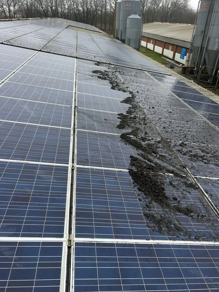 Solarreinigung, Photovoltaik Reinigung in ihrer nähe