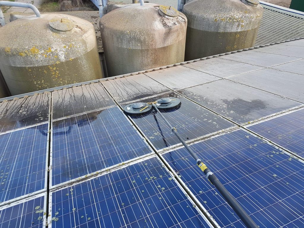 Solarreinigung in der nähe